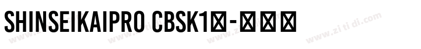 ShinseiKaiPro CBSK1◆字体转换